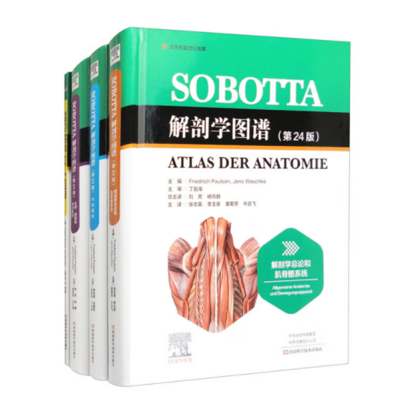 Sobotta解剖学图谱