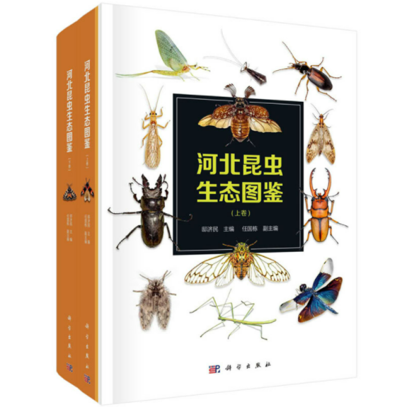 河北昆虫生态图鉴