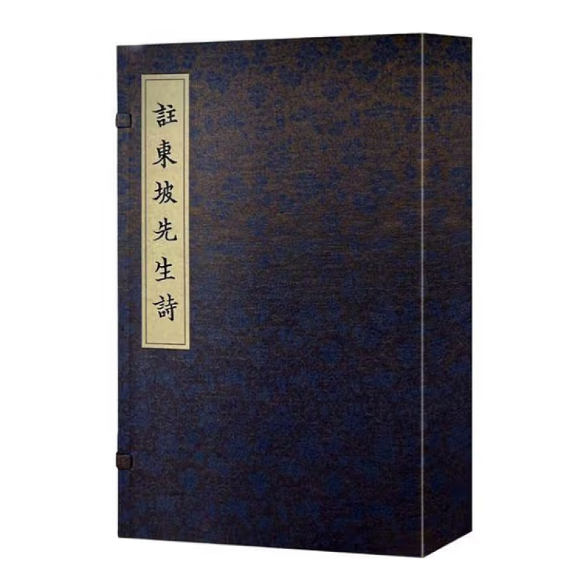 注东坡先生诗