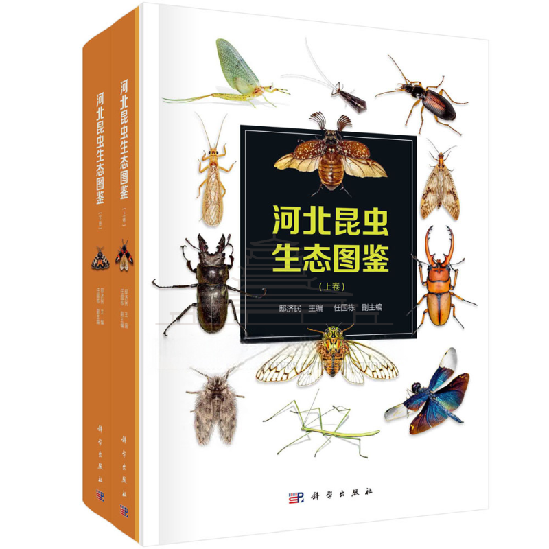 河北昆虫生态图鉴