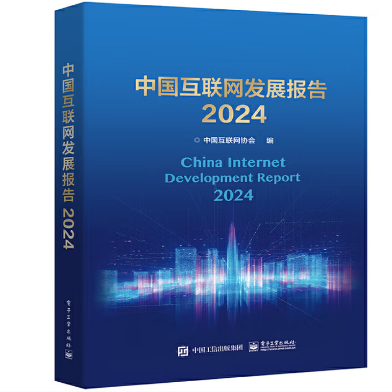 中国互联网发展报告