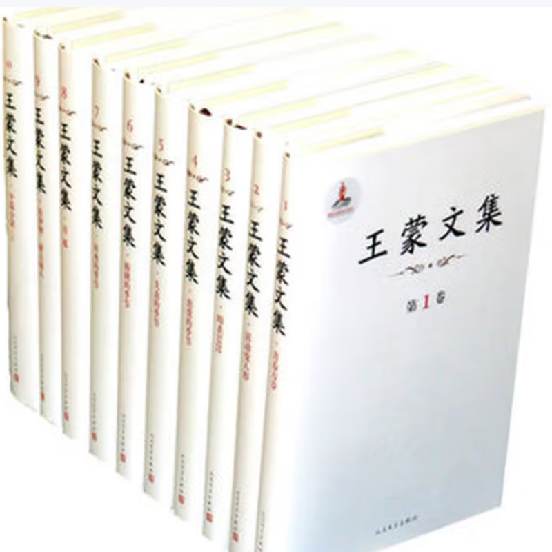 王蒙文集