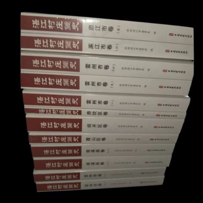 湛江村庄简史